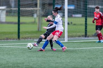 Bild 59 - wBJ HSV - F VfL Jesteburg : Ergebnis: 6:1